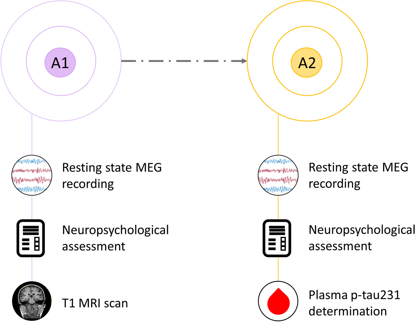 Longitudinal changes in the functional connectivity of individuals at risk of Alzheimer’s disease