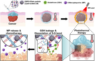 Injectable composite hydrogels embedded with gallium-based liquid metal particles for solid breast cancer treatment via chemo-photothermal combination