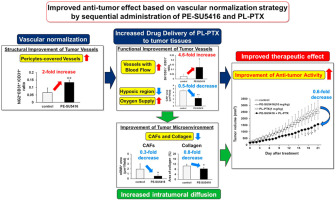 Vascular normalization with pegylated emulsion of SU5416 enhances anti-tumor effect of liposomal paclitaxel in 4T1 breast cancer-bearing mice: Analysis of intratumoral vessels and microenvironment