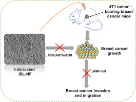 Isoliquiritigenin-infused electrospun nanofiber inhibits breast cancer proliferation and invasion through downregulation of PI3K/Akt/mTOR and MMP2/9 pathways