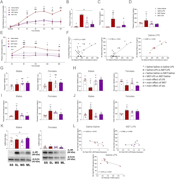 Author Correction: Sex differences in offspring risk and resilience following 11β-hydroxylase antagonism in a rodent model of maternal immune activation