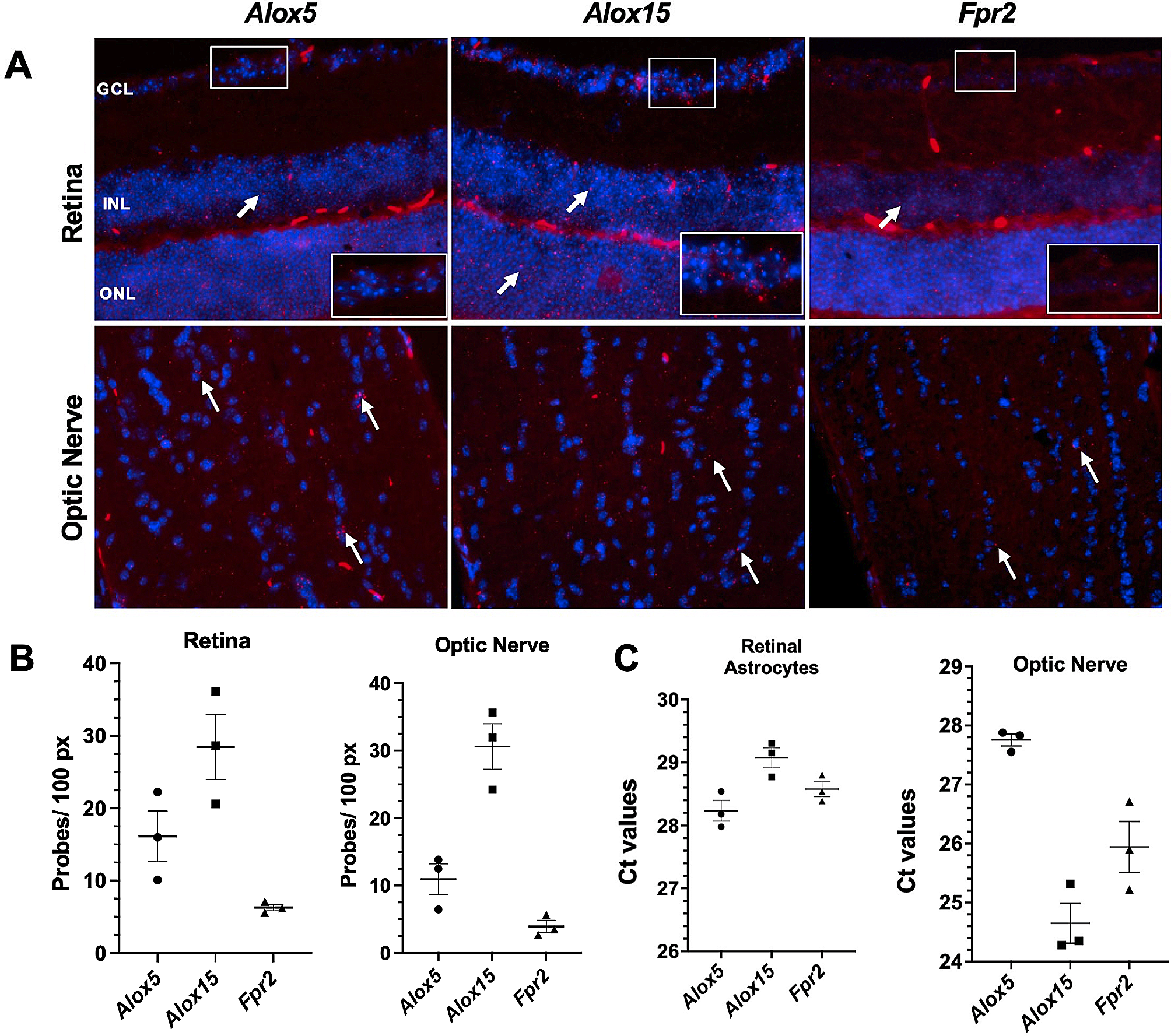 Dysregulation of neuroprotective lipoxin pathway in astrocytes in response to cytokines and ocular hypertension