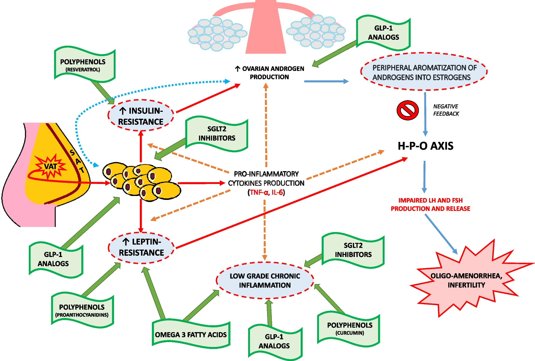 Hypothalamic-Ovarian axis and Adiposity Relationship in Polycystic Ovary Syndrome: Physiopathology and Therapeutic Options for the Management of Metabolic and Inflammatory Aspects