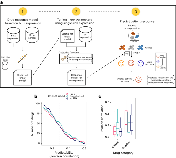 PERCEPTION predicts patient response and resistance to treatment using single-cell transcriptomics of their tumors