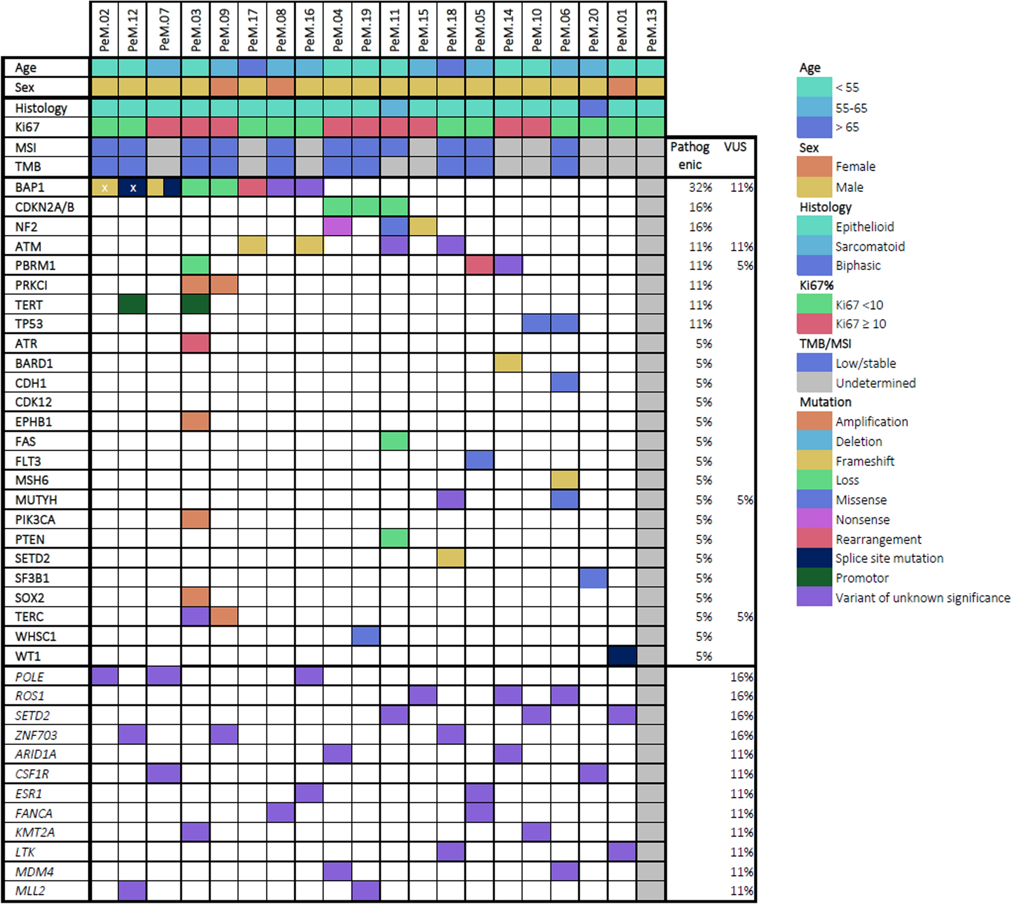 Genomic characterization and detection of potential therapeutic targets for peritoneal mesothelioma in current practice