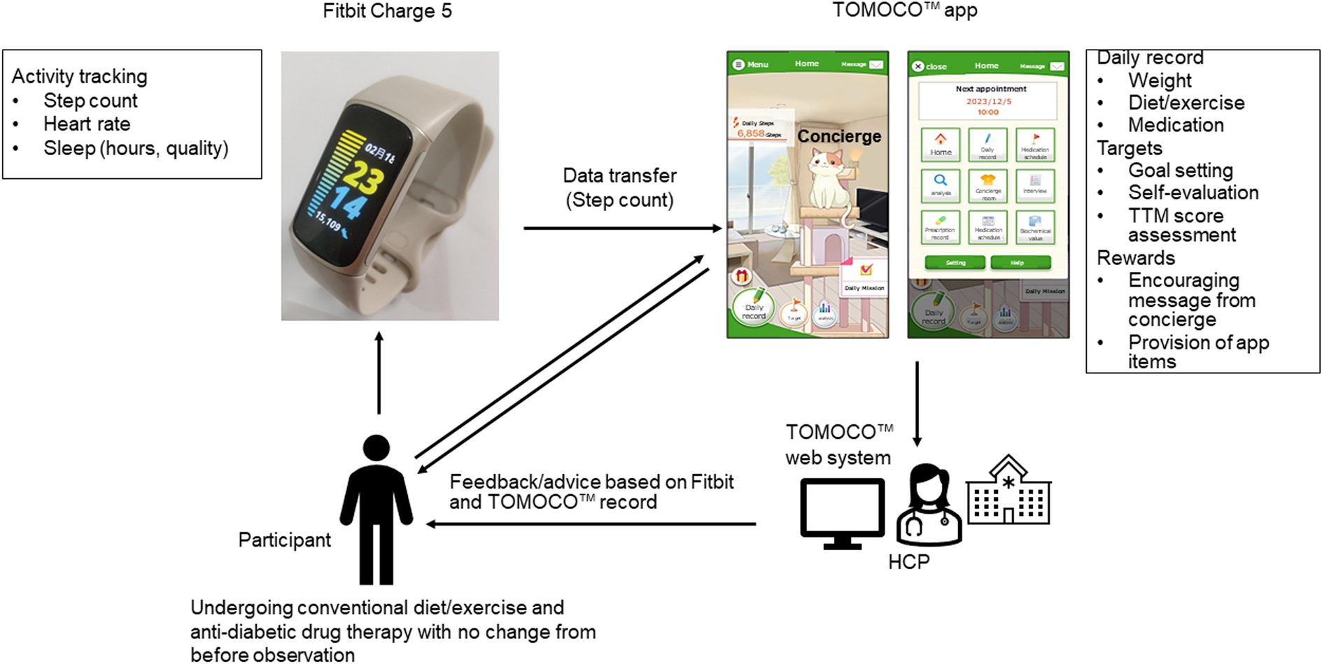 Effectiveness of a Lifestyle Improvement Support App in Combination with a Wearable Device in Japanese People with Type 2 Diabetes Mellitus: STEP-DM Study