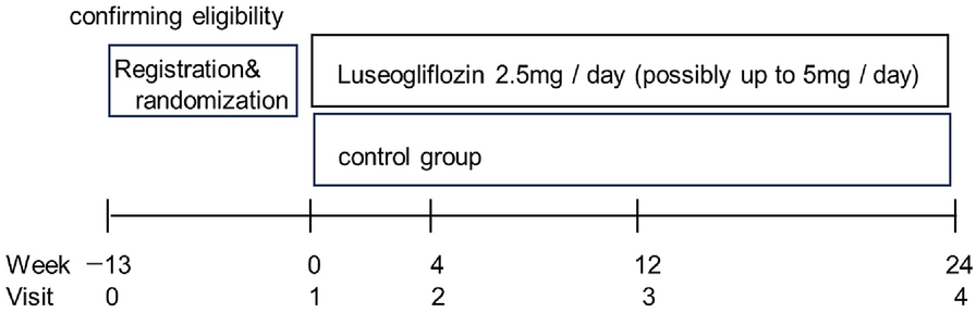 Effect of Luseogliflozin on Myocardial Flow Reserve in Patients with Type 2 Diabetes Mellitus (LUCENT-J Study)