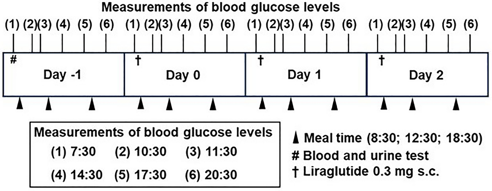 Immediate Impact of Switching from Dipeptidyl Peptidase 4 (DPP4) Inhibitors to Low-Dose (0.3 mg) Liraglutide on Glucose Profiles: A Retrospective Observational Study