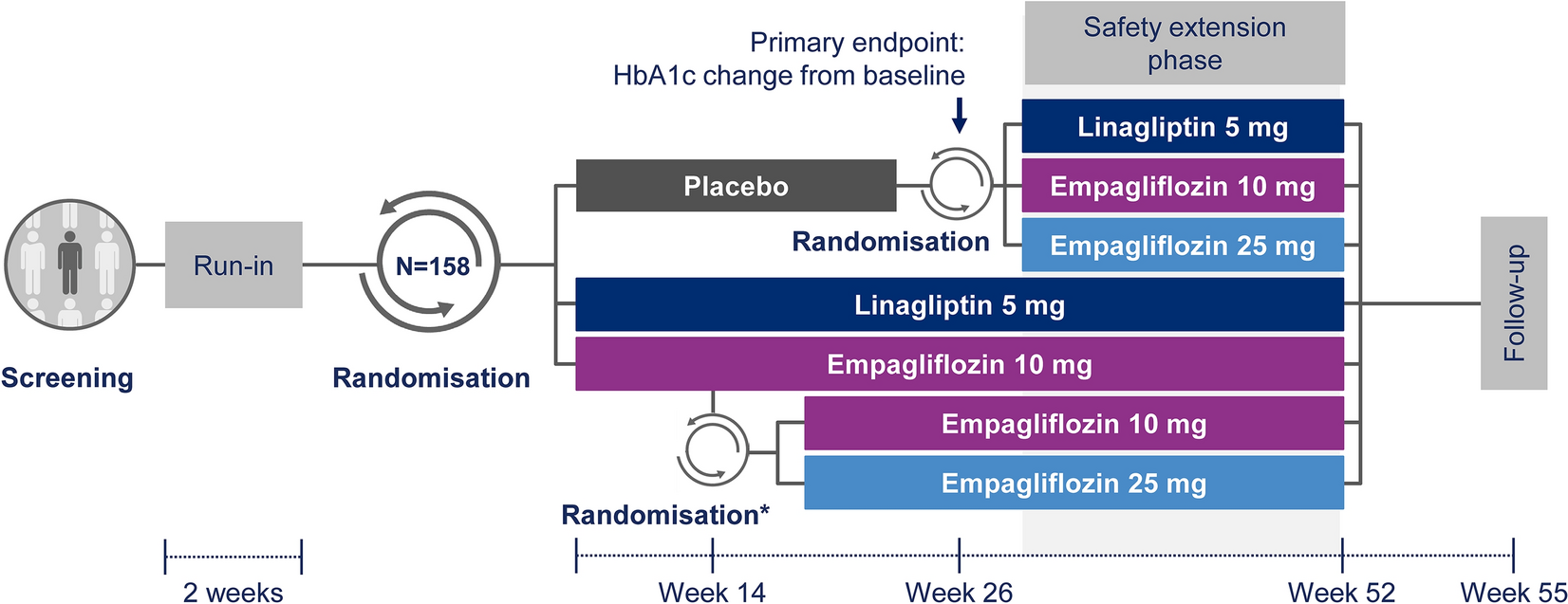 Summary of Research: Efficacy and Safety of the SGLT2 Inhibitor Empagliflozin Versus Placebo and the DPP-4 Inhibitor Linagliptin Versus Placebo in Young People with Type 2 Diabetes (DINAMO): A Multicentre, Randomised, Double-Blind, Parallel Group, Phase 3 Trial