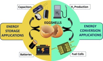 Eggshells & Eggshell Membranes– A Sustainable Resource for energy storage and energy conversion applications: A critical review