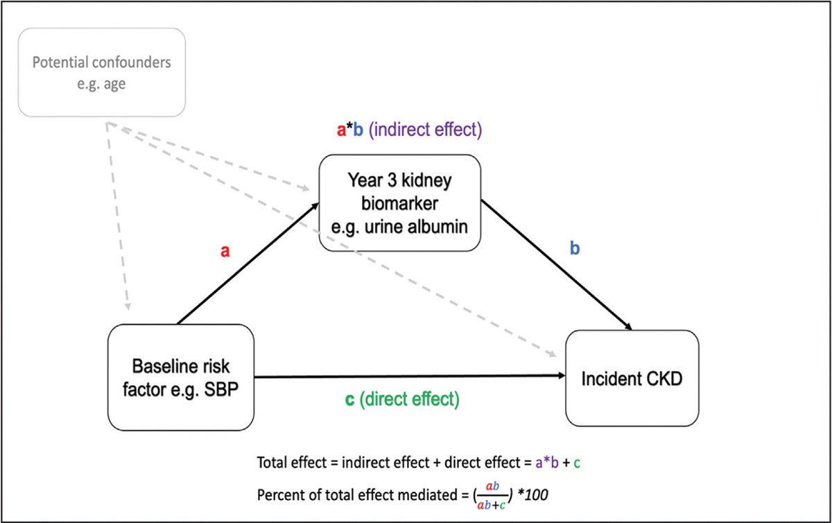 Mediation analysis of chronic kidney disease risk factors using kidney biomarkers in women living with HIV