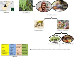 Diversity and conservation status of herbal formulations used to treat different diseases in a semi-arid to sub-humid subtropical region