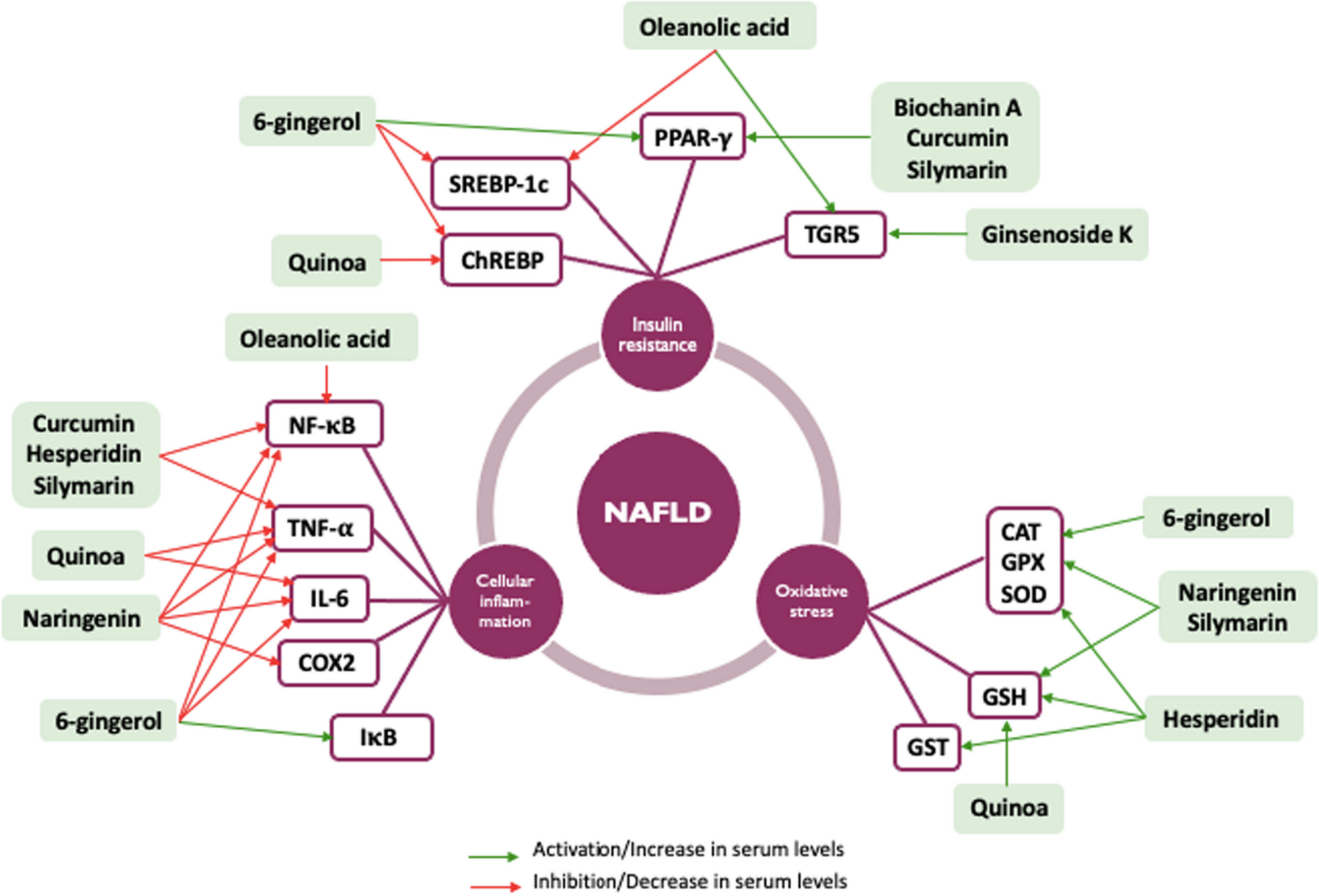Natural compounds proposed for the management of non-alcoholic fatty liver disease