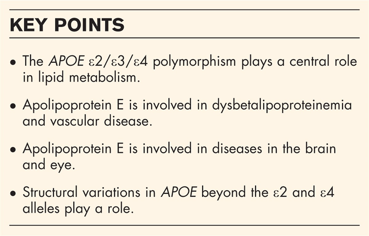 The current state of apolipoprotein E in dyslipidemia