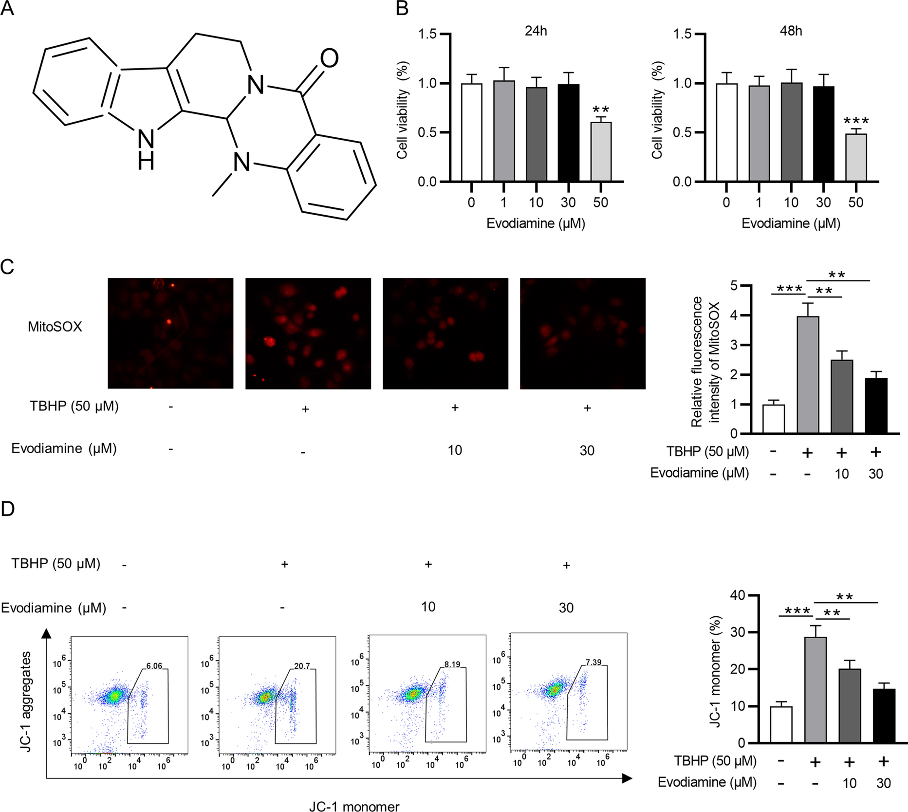 Evodiamine ameliorates intervertebral disc degeneration through the Nrf2 and MAPK pathways