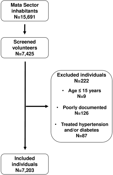 Blood pressure screening in Mata Sector, a rural area of Rwanda