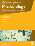 Cell wall synthesizing complexes in Mycobacteriales