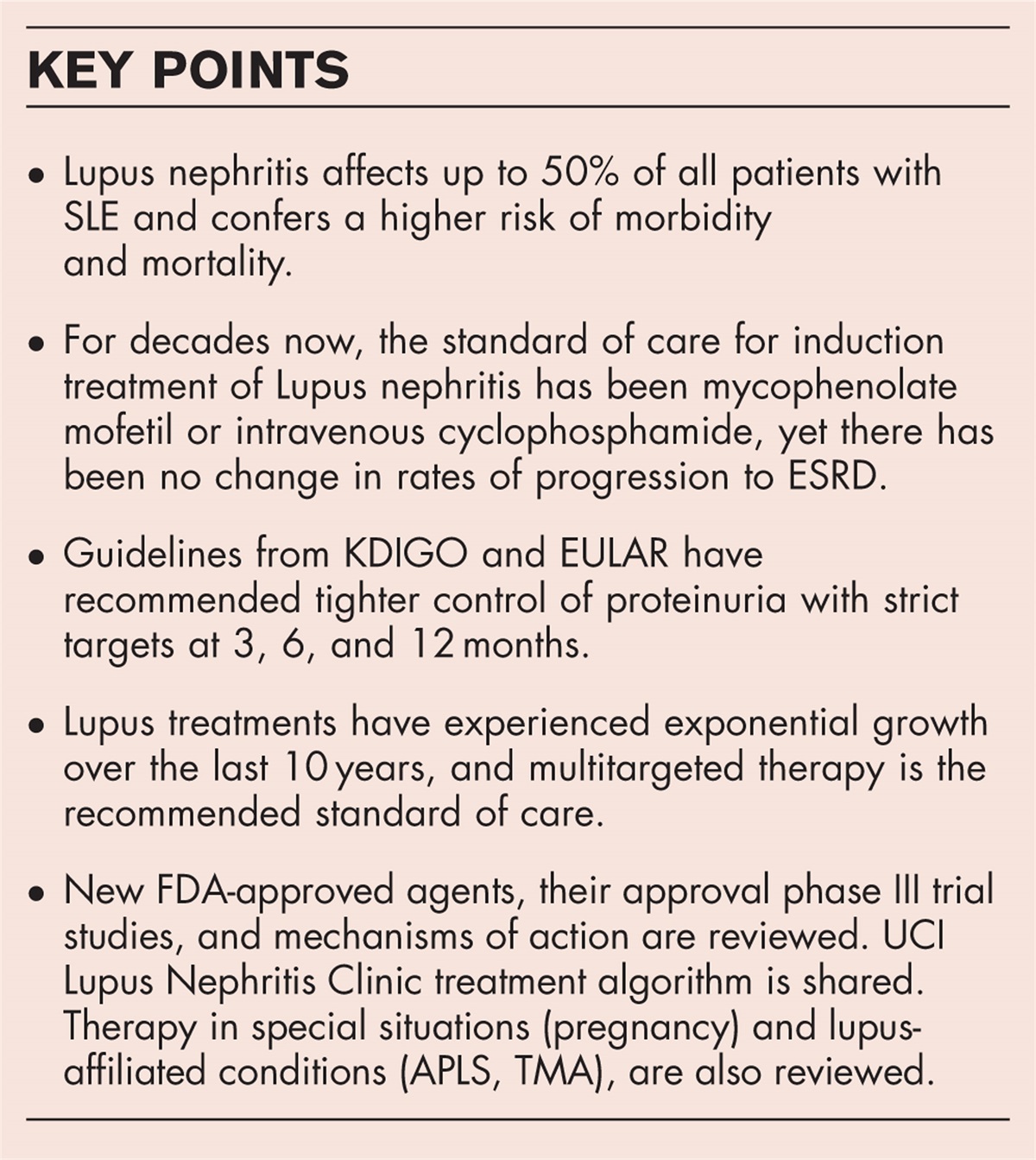 New guidelines and therapeutic updates for the management of lupus nephritis