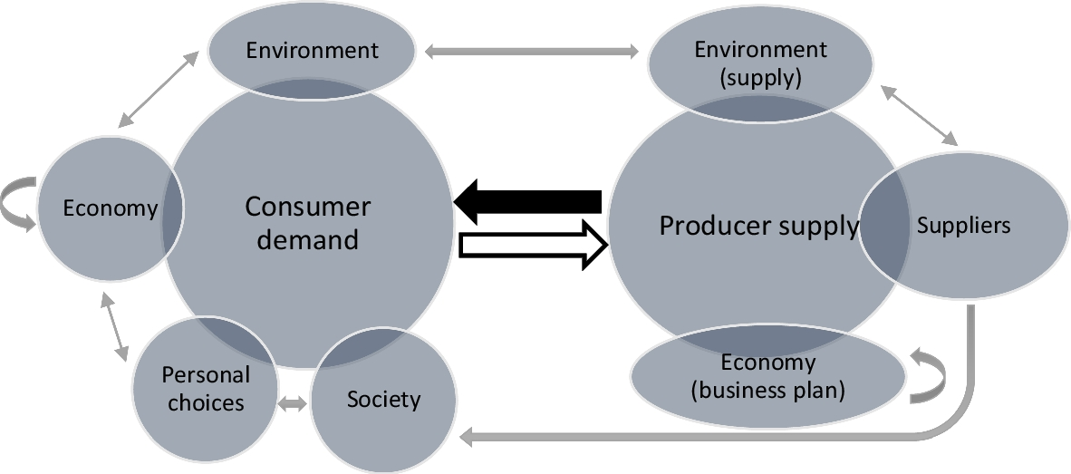 Culturo-Behavioral Contributions to a Sustainable Market: The Interplay of Producers’ and Consumers’ Practices