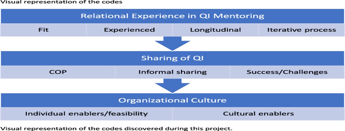 Understanding Quality Improvement and Continuing Professional Mentorship: A Needs Assessment Study to Inform the Development of a Community of Practice