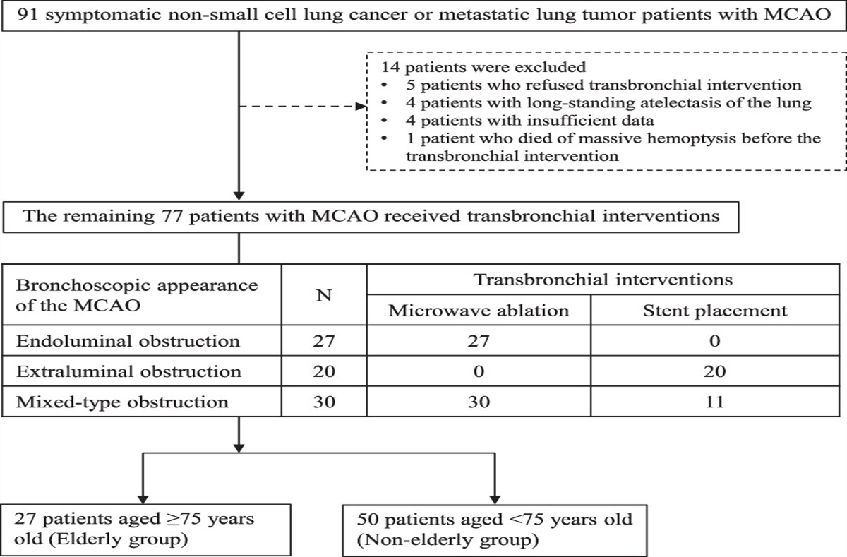 Feasibility, Tolerability, and Effectiveness of Transbronchial Interventions in Elderly Patients With Malignant Central Airway Obstruction: A Retrospective Single-institution Study