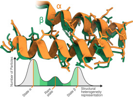 Confronting heterogeneity in cryogenic electron microscopy data: Innovative strategies and future perspectives with data-driven methods