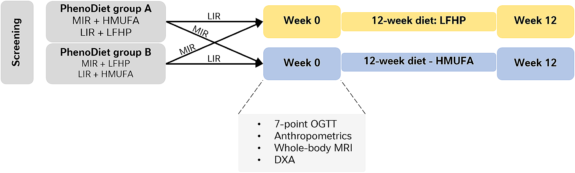 Body composition and body fat distribution in tissue-specific insulin resistance and in response to a 12-week isocaloric dietary macronutrient intervention