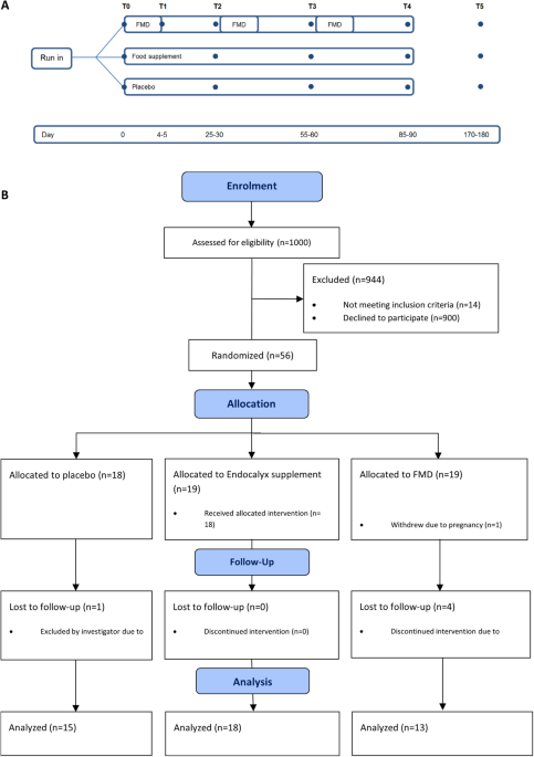 Role of dietary interventions on microvascular health in South-Asian Surinamese people with type 2 diabetes in the Netherlands: A randomized controlled trial