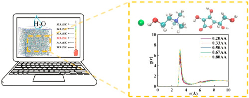 Molecular dynamics simulations of choline chloride and ascorbic acid deep eutectic solvents: Investigation of structural and dynamics properties