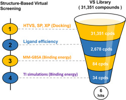 Discovering potential WRN inhibitors from natural product database through computational methods