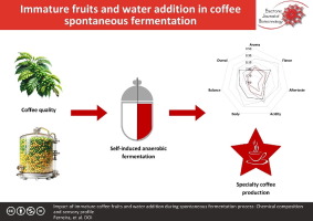Impact of immature coffee fruits and water addition during spontaneous fermentation process: Chemical composition and sensory profile