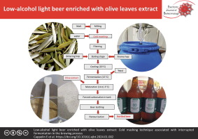 Low-alcohol light beer enriched with olive leaves extract: Cold mashing technique associated with interrupted fermentation in the brewing process
