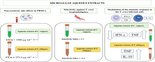 Microalgae extracts modulates the immune response in Trypanosoma cruzi-infected human cells