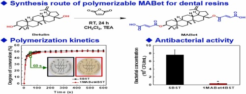 Synthesis of polymerizable betulin maleic diester derivative for dental restorative resins with antibacterial activity