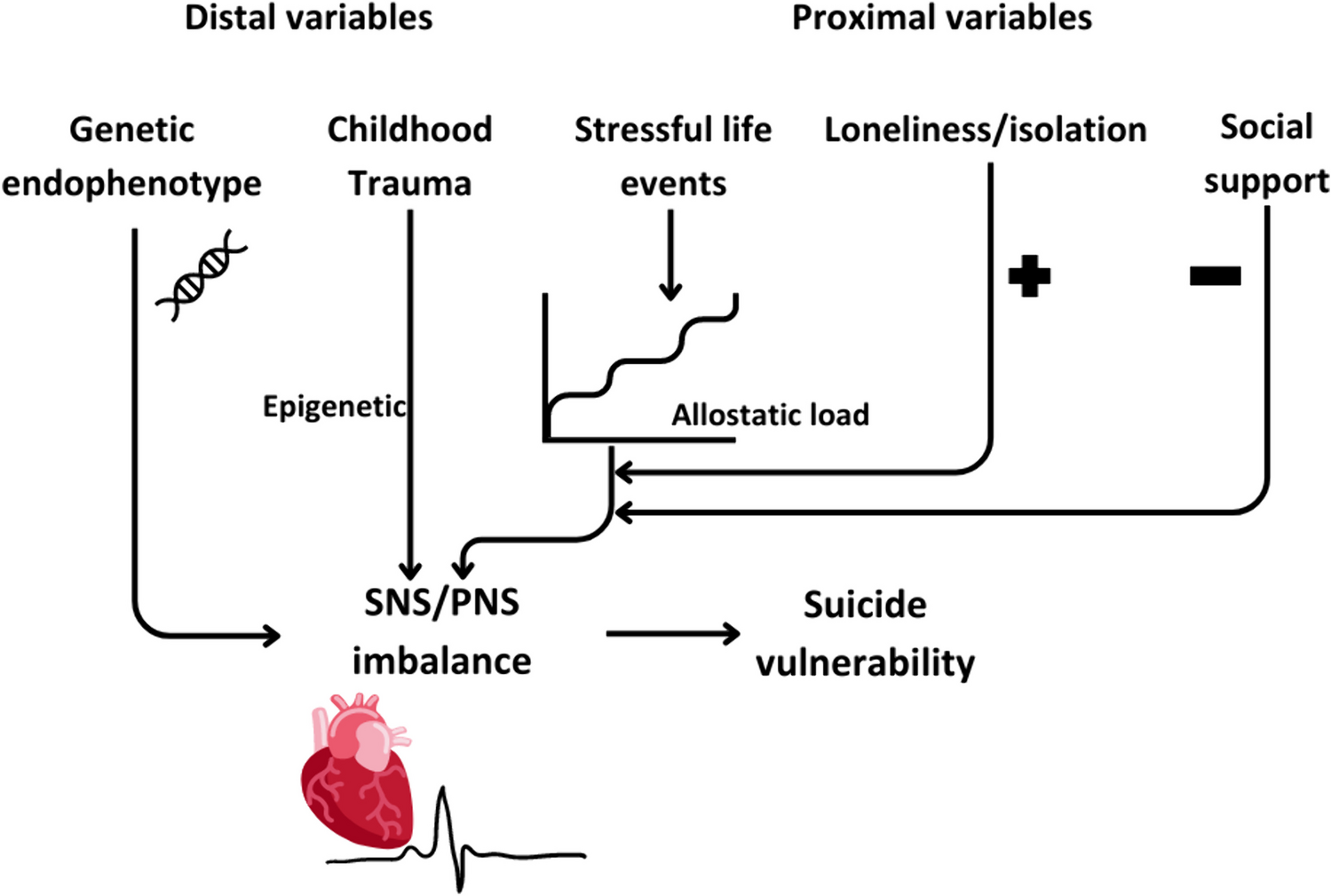 From Social Stress and Isolation to Autonomic Nervous System Dysregulation in Suicidal Behavior