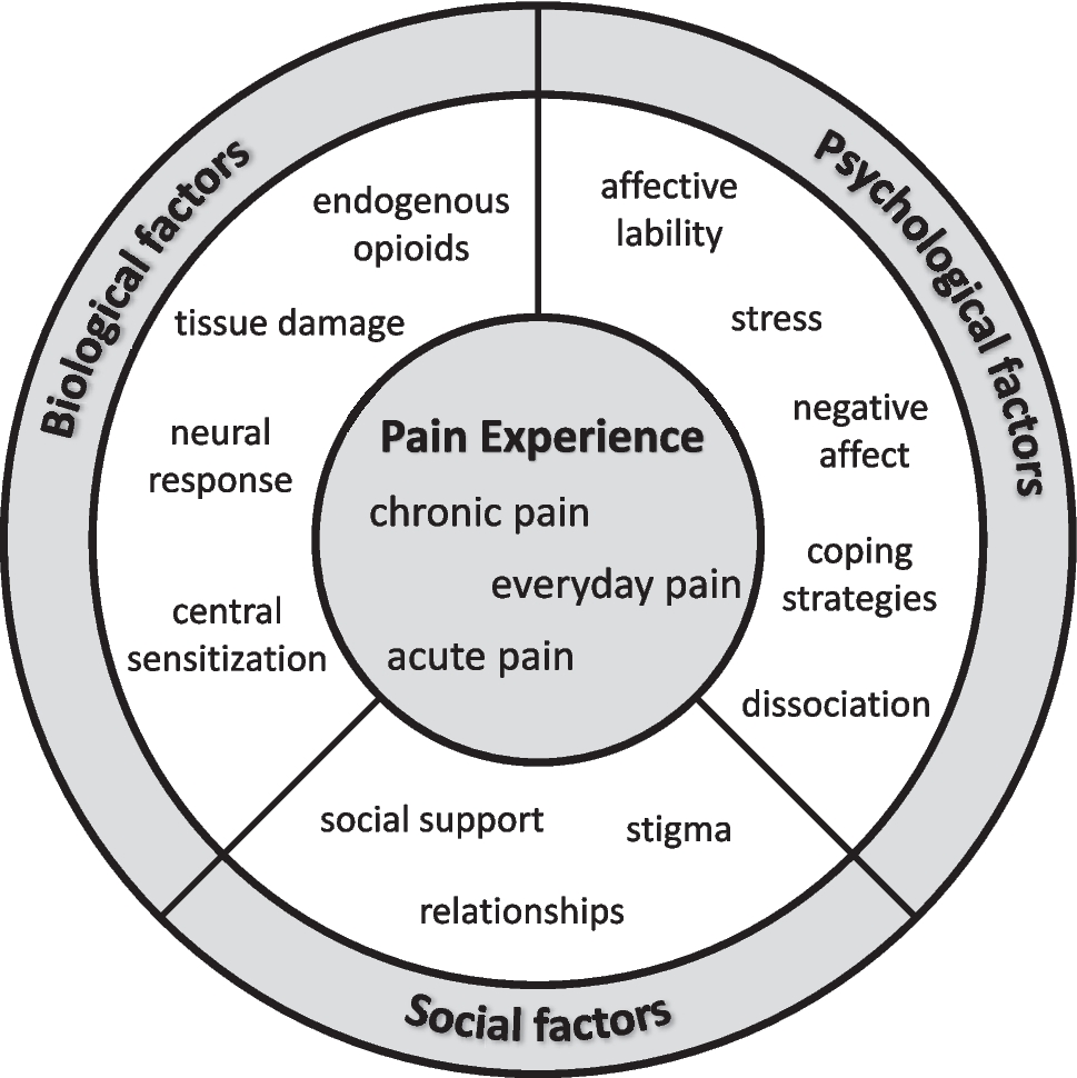 Acute, Chronic, and Everyday Physical Pain in Borderline Personality Disorder