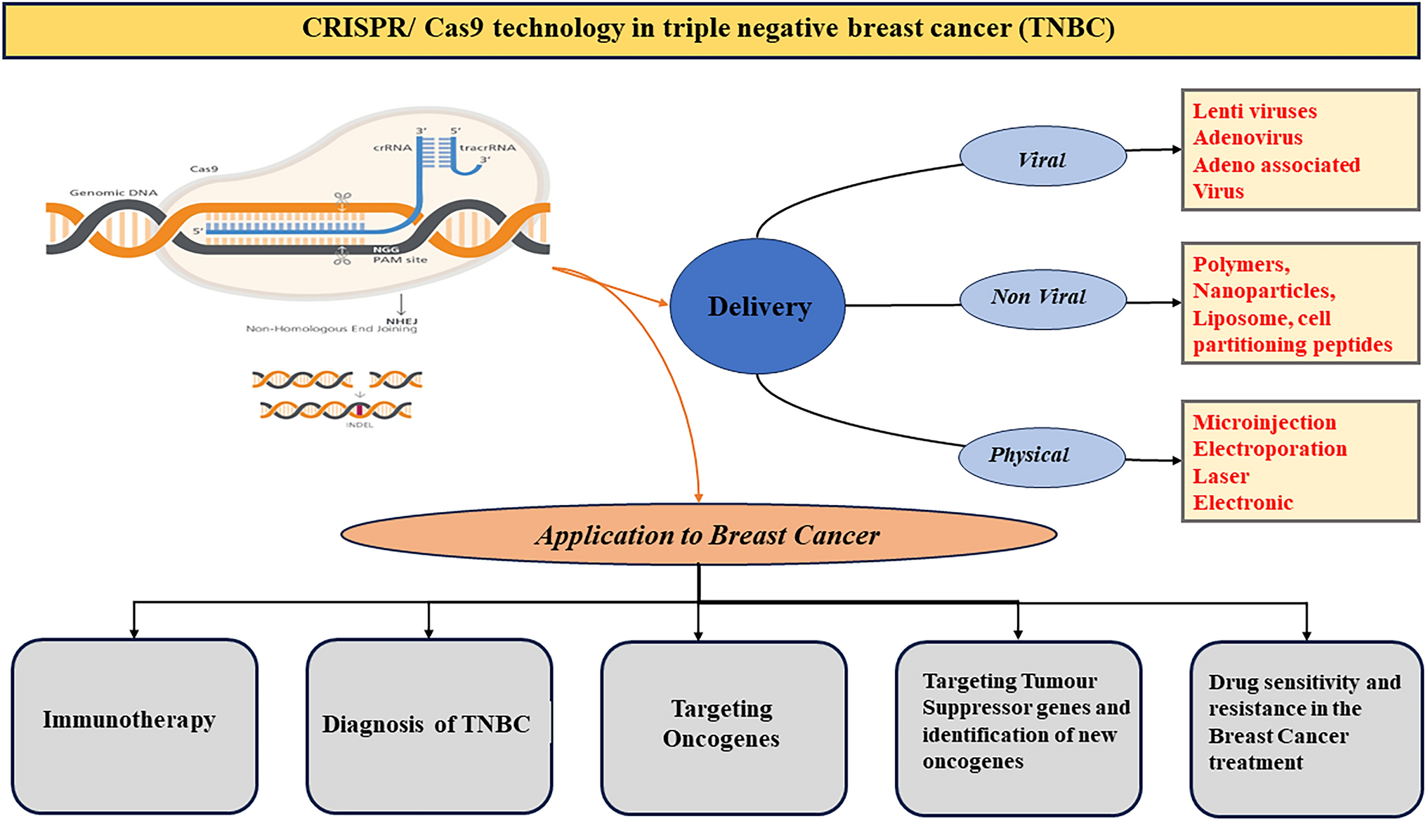 Role of CRISPR/Cas9 based therapy in breast cancer: a future direction