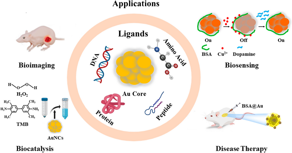 From synthesis to applications of biomolecule-protected luminescent gold nanoclusters