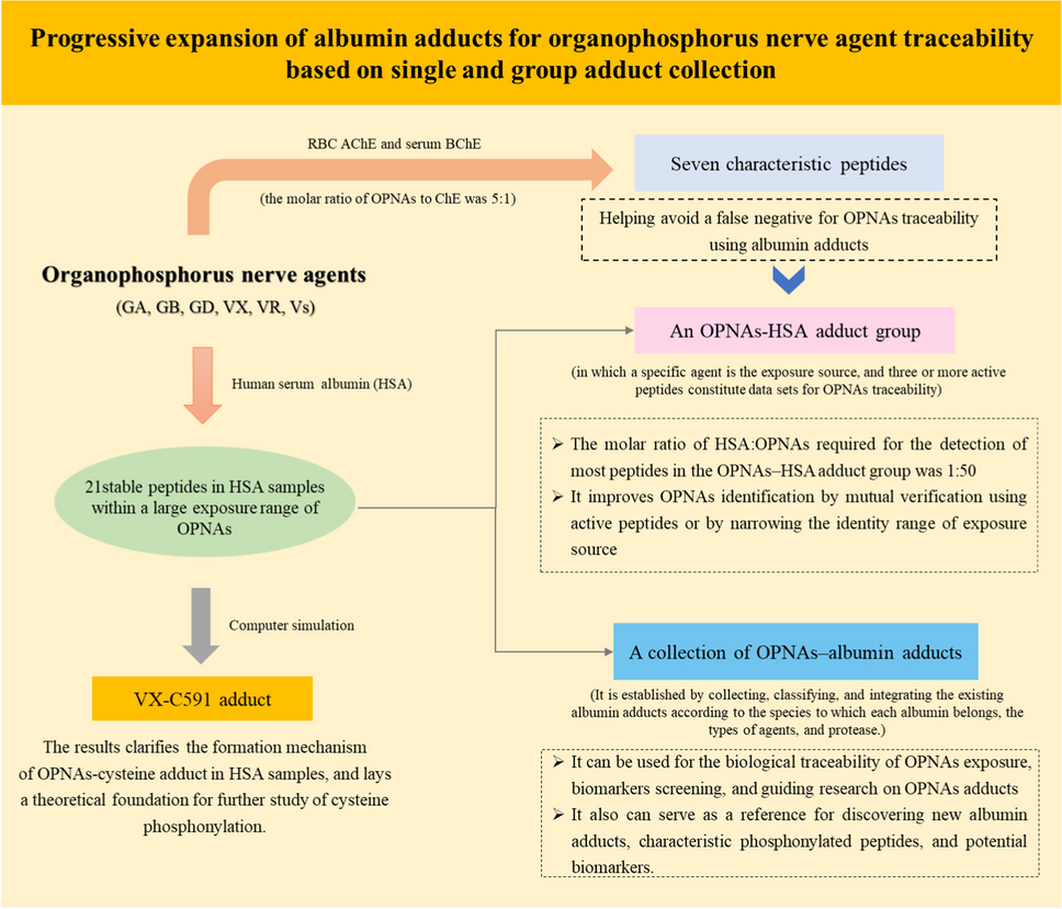 Progressive expansion of albumin adducts for organophosphorus nerve agent traceability based on single and group adduct collection