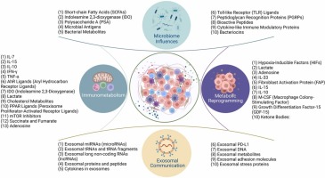 Cytokines and soluble mediators as architects of tumor microenvironment reprogramming in cancer therapy