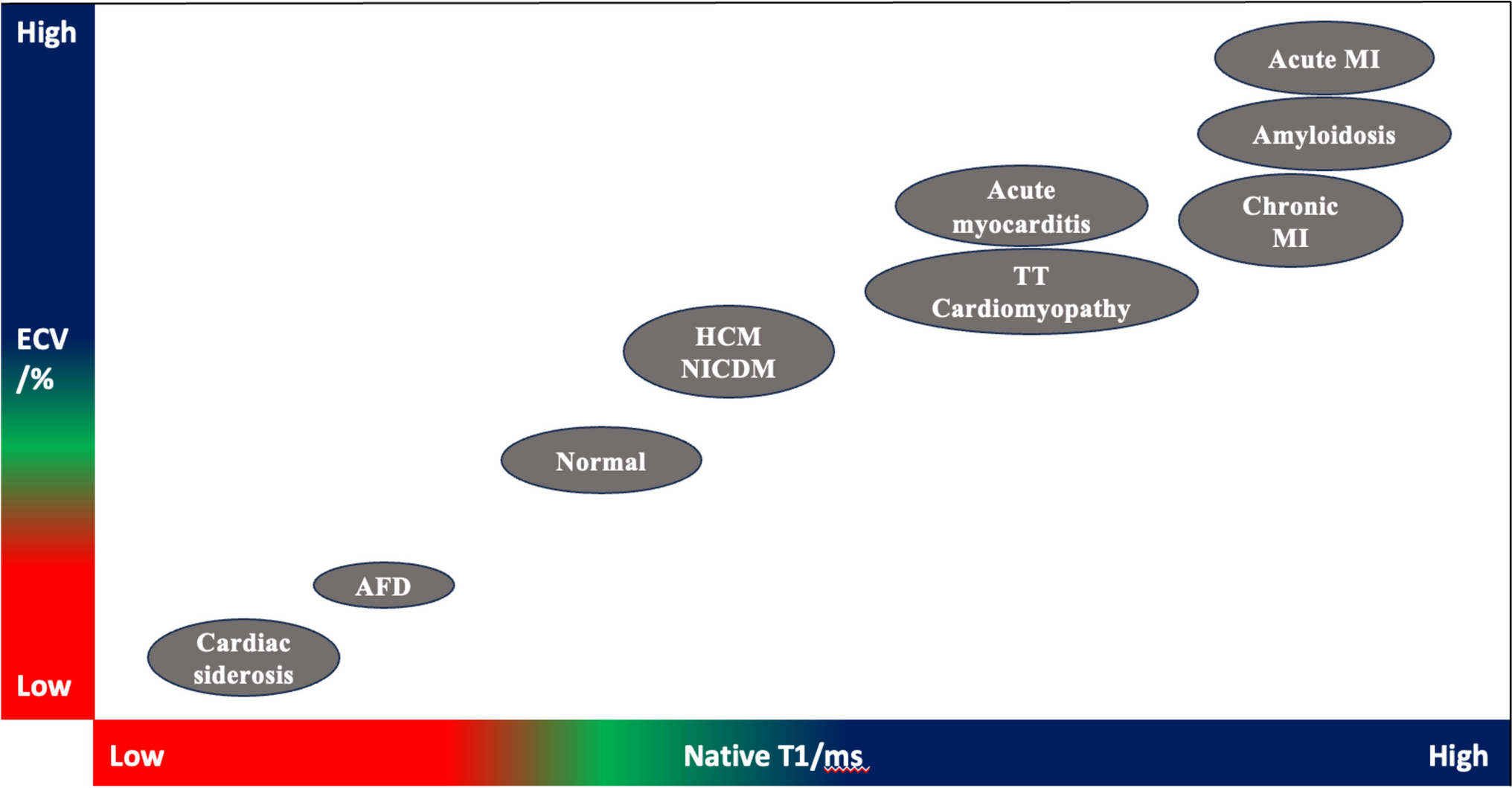 The Additional Value of T1 Mapping in Cardiac Disease: State of the Art