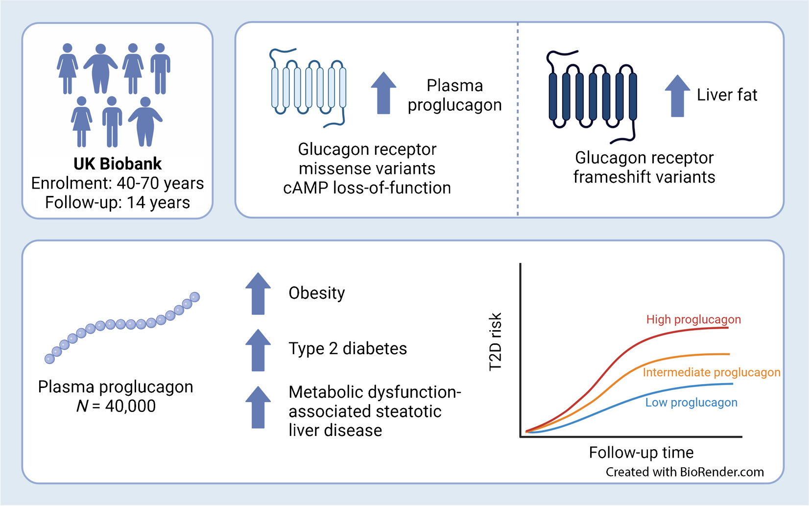 Determinants of plasma levels of proglucagon and the metabolic impact of glucagon receptor signalling: a UK Biobank study