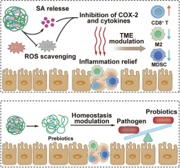 Orally available dextran-aspirin nanomedicine modulates gut inflammation and microbiota homeostasis for primary colorectal cancer therapy