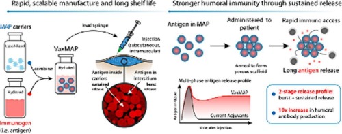 A novel microporous biomaterial vaccine platform for long-lasting antibody mediated immunity against viral infection