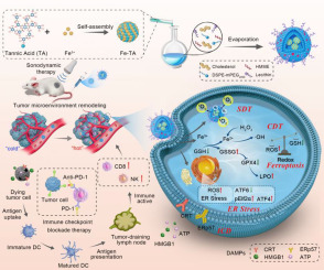 An ultrasound-activated nanoplatform remodels tumor microenvironment through diverse cell death induction for improved immunotherapy