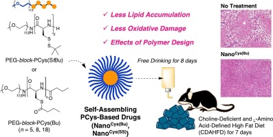 Metabolic dysfunction-associated steatohepatitis treated by poly(ethylene glycol)-block-poly(cysteine) block copolymer-based self-assembling antioxidant nanoparticles