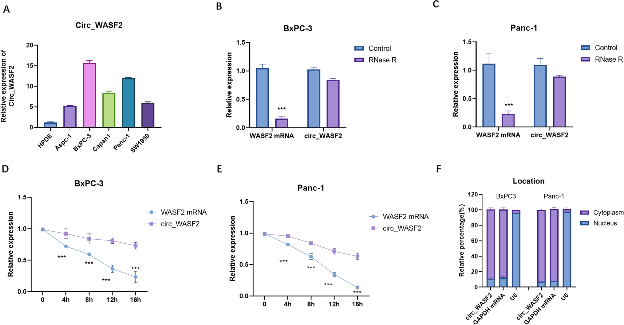 circ_WASF2 regulates ferroptosis by miR-634/ GPX4 signaling in pancreatic cancer