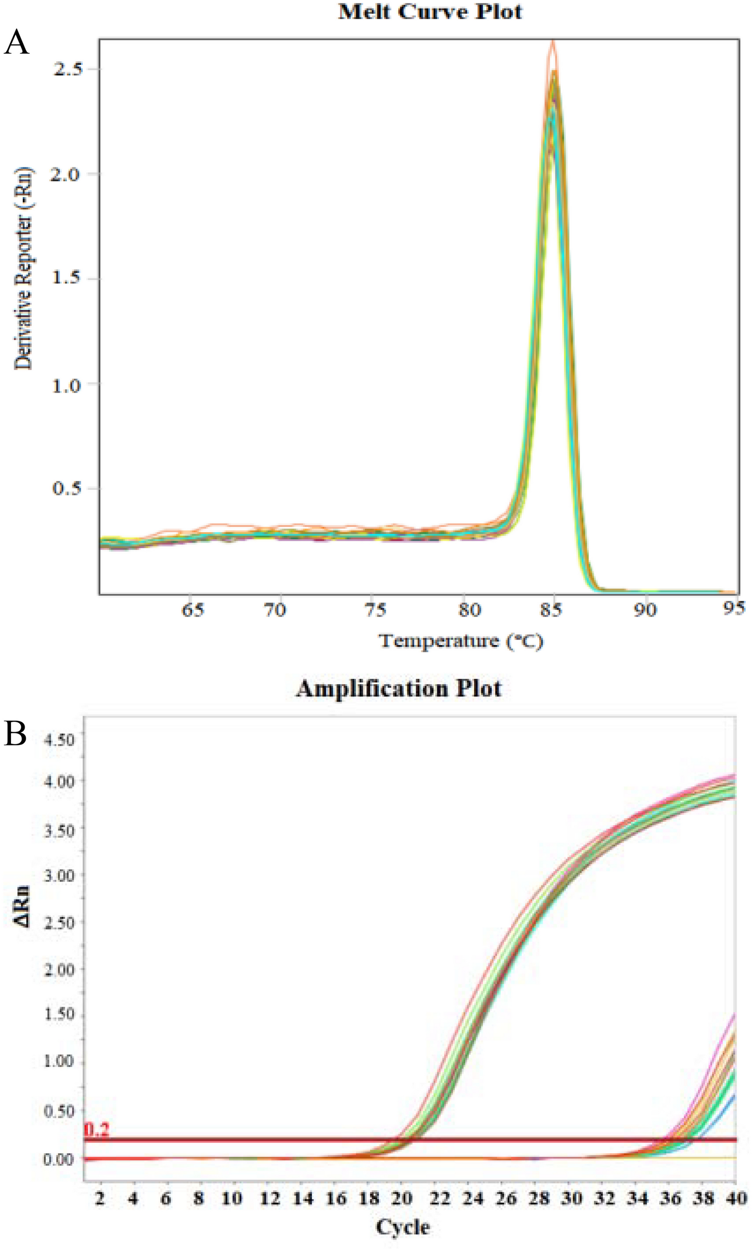 Determination for KIR genotype and allele copy number via real-time quantitative PCR method