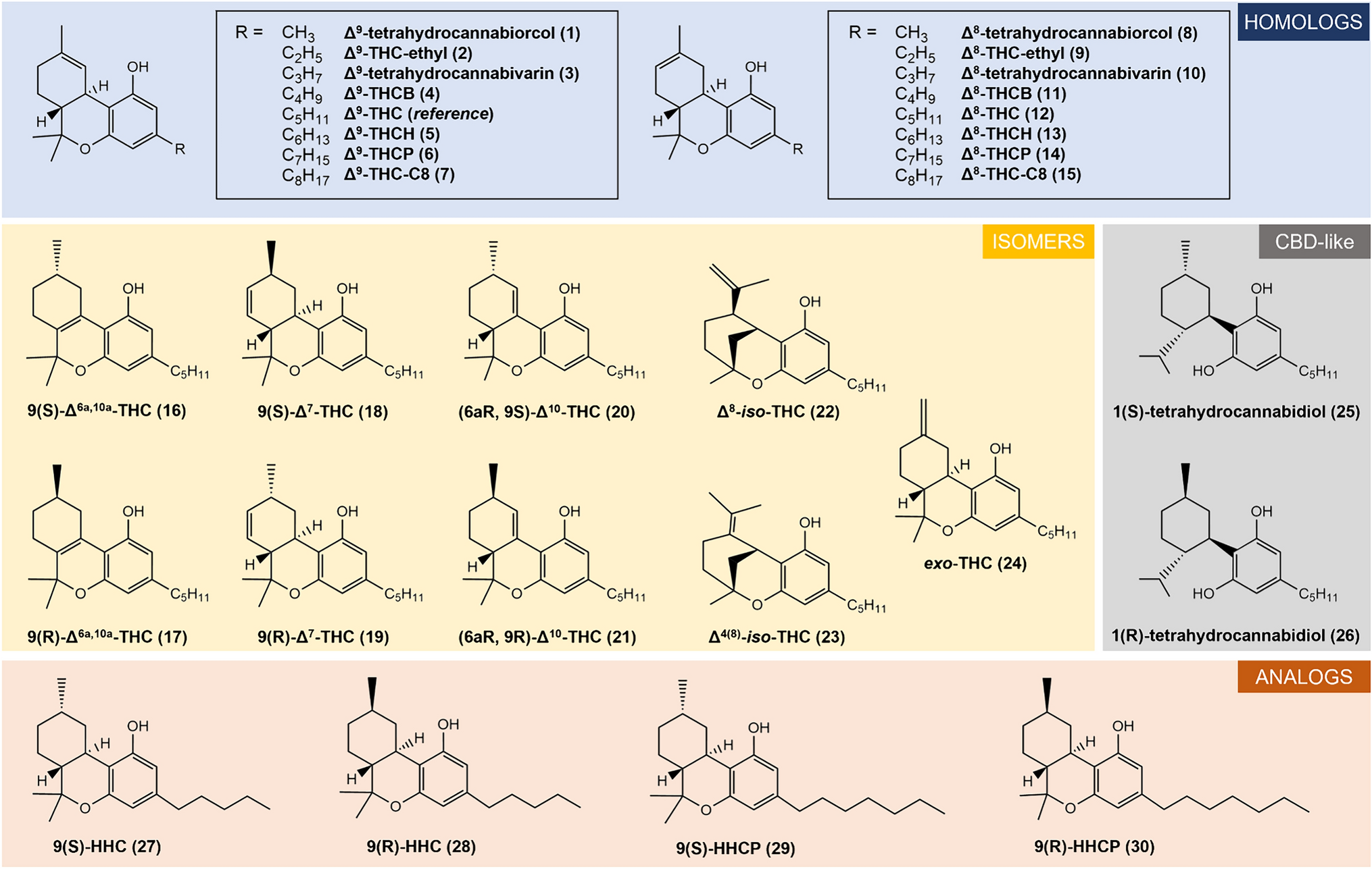 Investigation of the intrinsic cannabinoid activity of hemp-derived and semisynthetic cannabinoids with β-arrestin2 recruitment assays—and how this matters for the harm potential of seized drugs