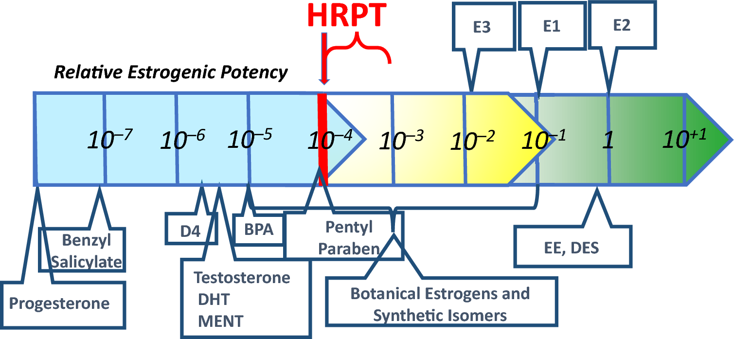 The physiological and biochemical basis of potency thresholds modeled using human estrogen receptor alpha: implications for identifying endocrine disruptors